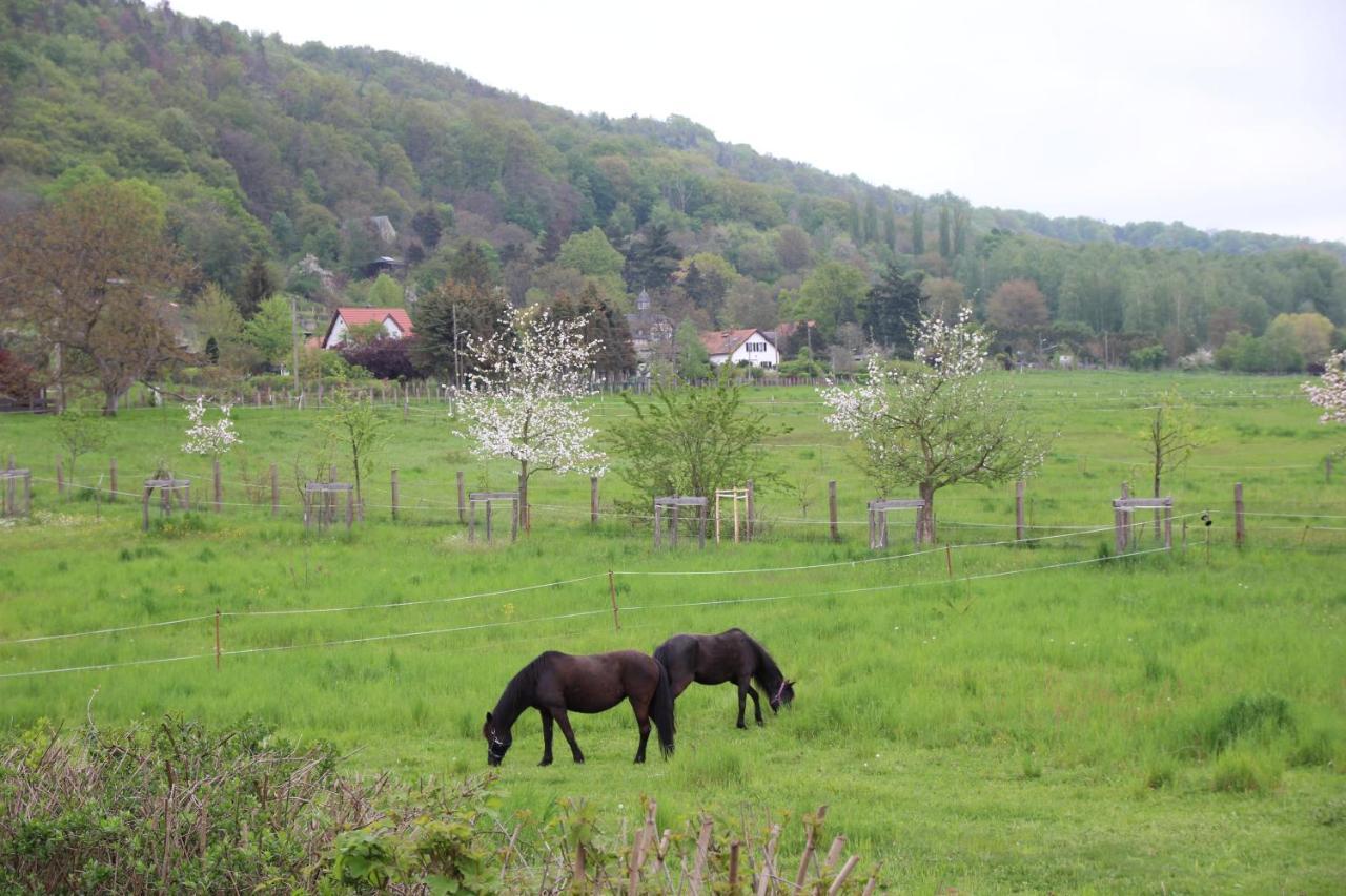 Stiegenstuebchen Am Weinberg Appartement *