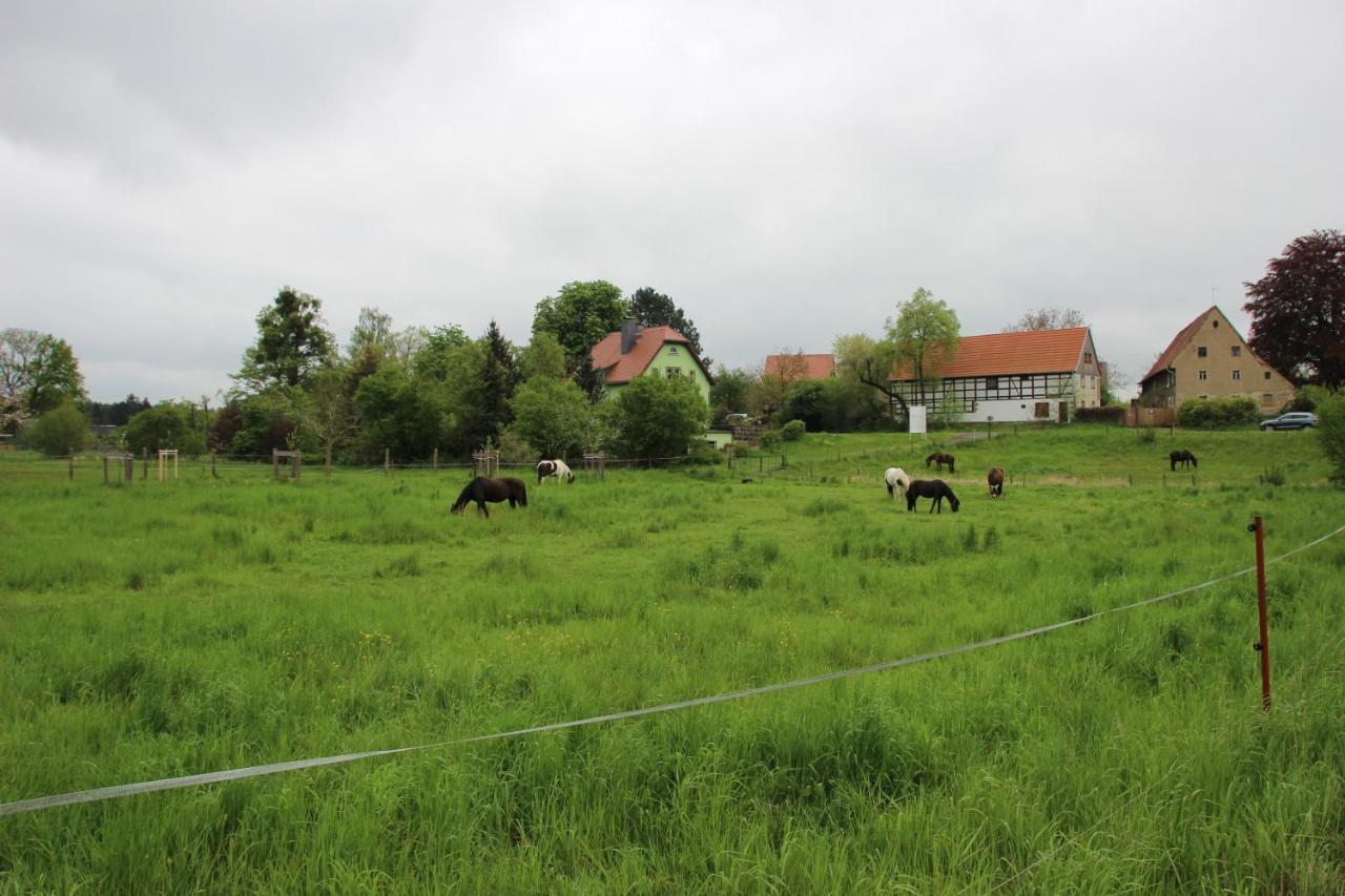 Stiegenstuebchen Am Weinberg * Dresde