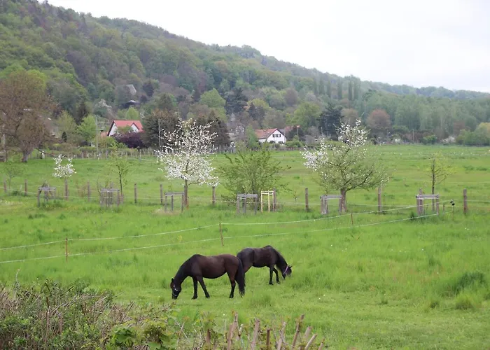 Stiegenstuebchen Am Weinberg